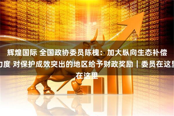 辉煌国际 全国政协委员陈槐:加大纵向生态补偿力度 对保护成效突出的地区给予财政奖励|委员在这里